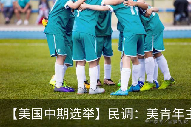【美国中期选举】民调：美青年主要投票动机是反对特朗普