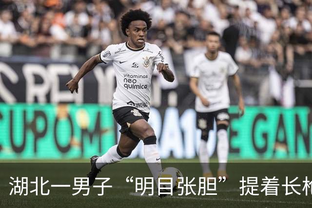 湖北一男子“明目张胆”提着长枪进派出所，民警大吃一惊！说明来意后，大家松了一口气还表扬了男子……